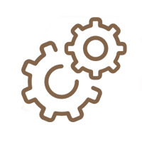 razgon